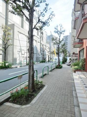 物件周辺