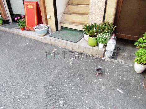 正面玄関