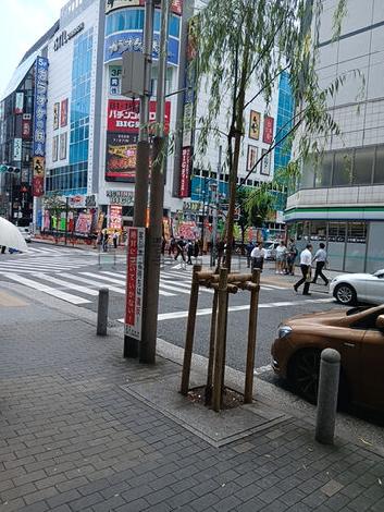 物件周辺