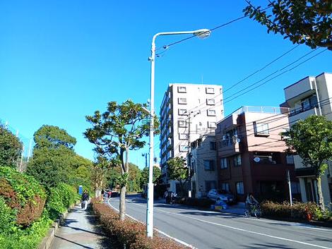 物件周辺