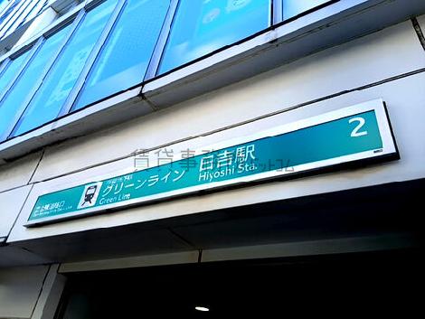 物件周辺