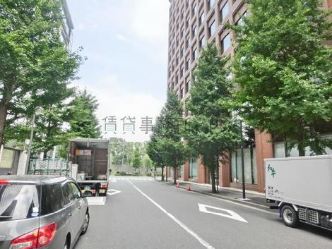 街路樹のある通り