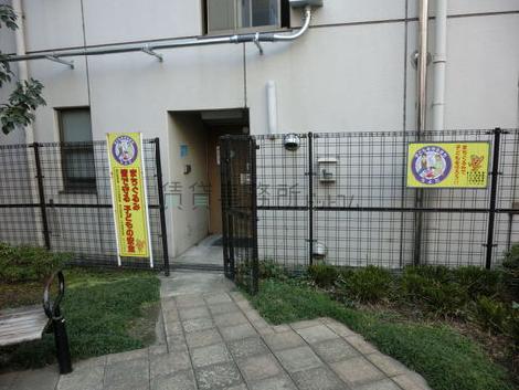 裏手の公園から直接建物に入れます