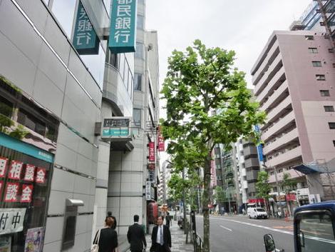 緑の植えられた歩道