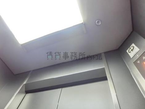 天井の照明