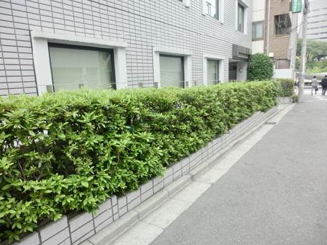 物件周辺