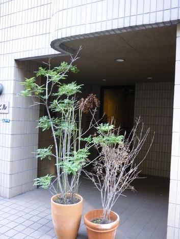 正面玄関