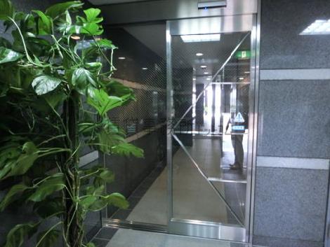 エントランスを彩る観葉植物