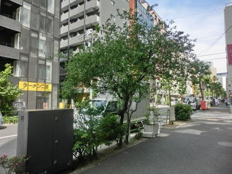 物件周辺