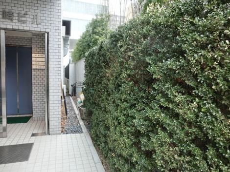 正面玄関