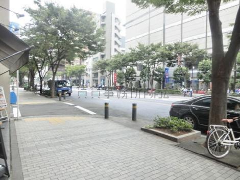 玄関前の街路樹通り