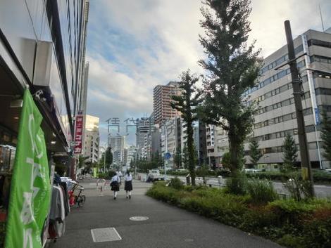 広々とした街並みです