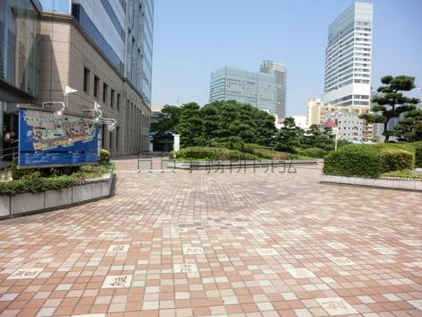 広々としています