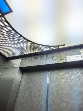 天井の照明