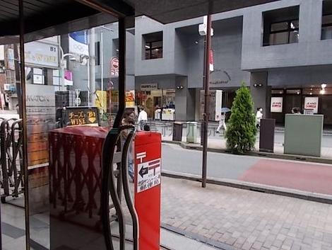 正面玄関