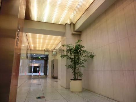１つだけ置かれた植栽が、シンプルで目を引きます