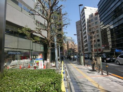 正面には植栽があり和ませてくれます