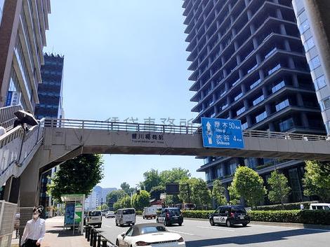 物件周辺