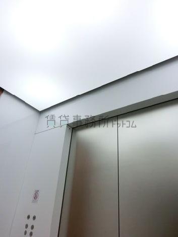 天井の照明