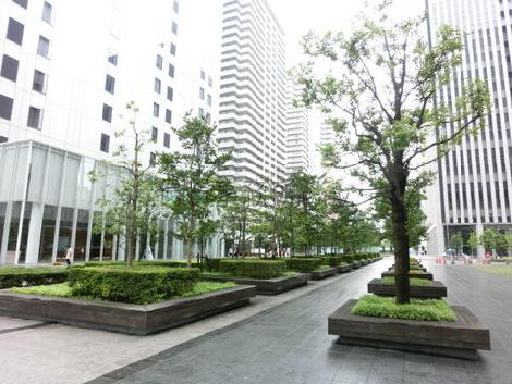 ガーデンデザインされた敷地内