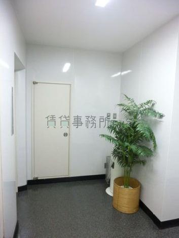 植栽を設置