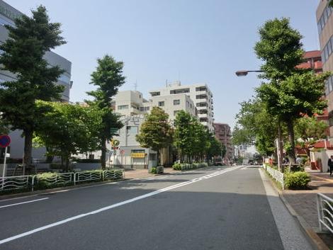 緑が多いエリアです