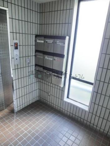 日差しが射し込みます