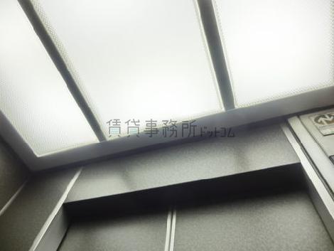 天井の照明