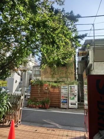 大きな木が印象的でした