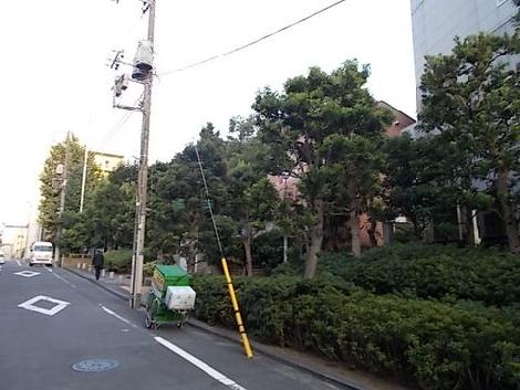 物件周辺