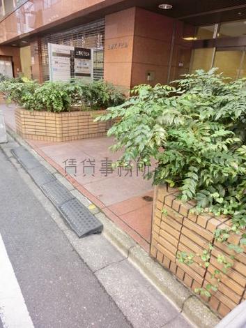 玄関前は植樹されています
