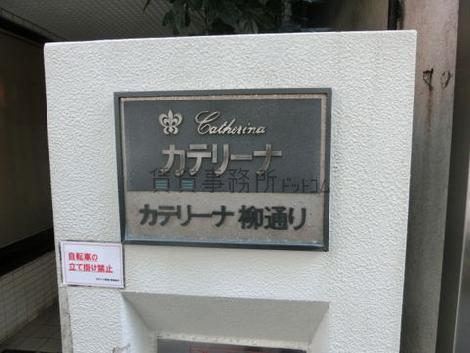 カテリーナ柳通り