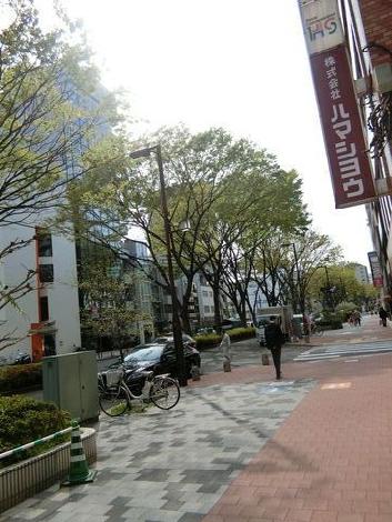 物件周辺