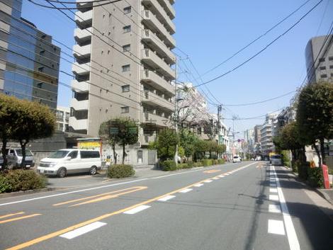物件周辺