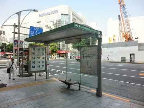 物件周辺