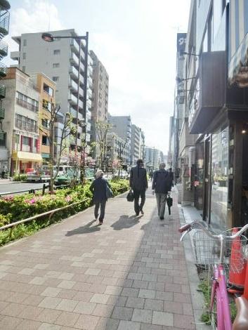 物件周辺
