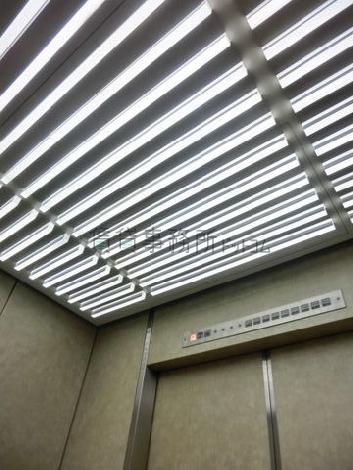 天井の照明