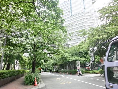 街路樹の生い茂る通り
