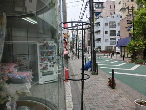 東通りです