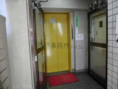 目を引く色をしています