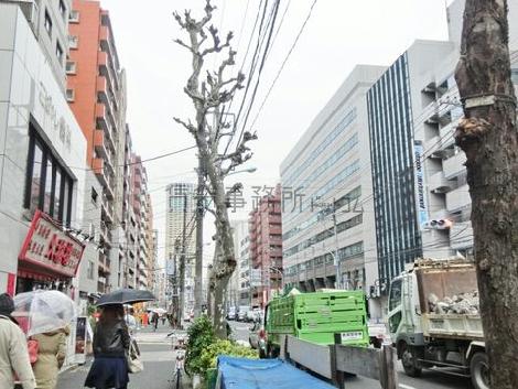 物件周辺