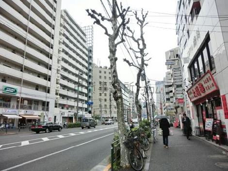 物件周辺