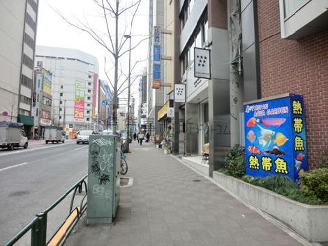 物件周辺