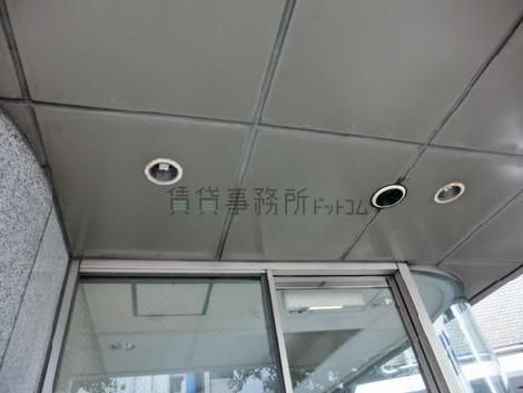 玄関の照明です