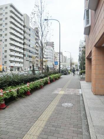 物件周辺