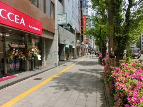 前面の歩道です