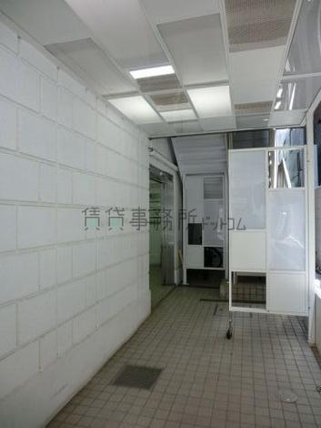 白を基調としています