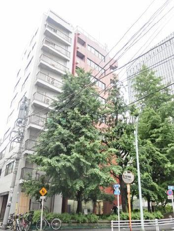 緑に囲われた環境
