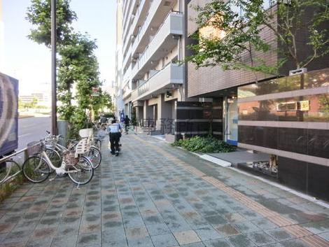 ゆとりある広さの歩道です