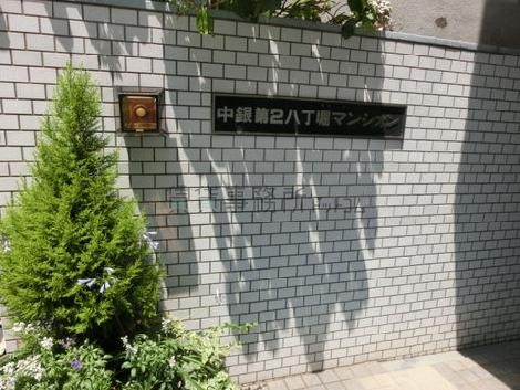 玄関部分には緑もあり、とても品があります